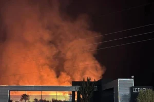 Incendios en el Parque de la Ciudad: se quemaron 14 hectáreas de flora en menos de 24 horas