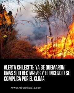 Incendio en Chilecito: 900 hectáreas y vientos de 80 km/h
