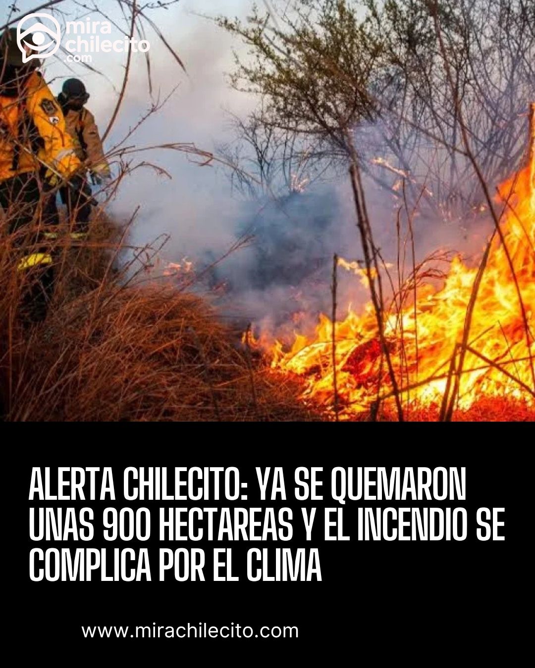 Incendio en Chilecito: 900 hectáreas y vientos de 80 km/h