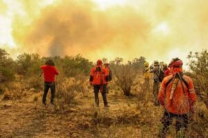 Ley de Manejo del Fuego: la reforma que divide al Senado