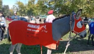 Manincho: dos detenidos por el robo y muerte del burro de Aimogasta