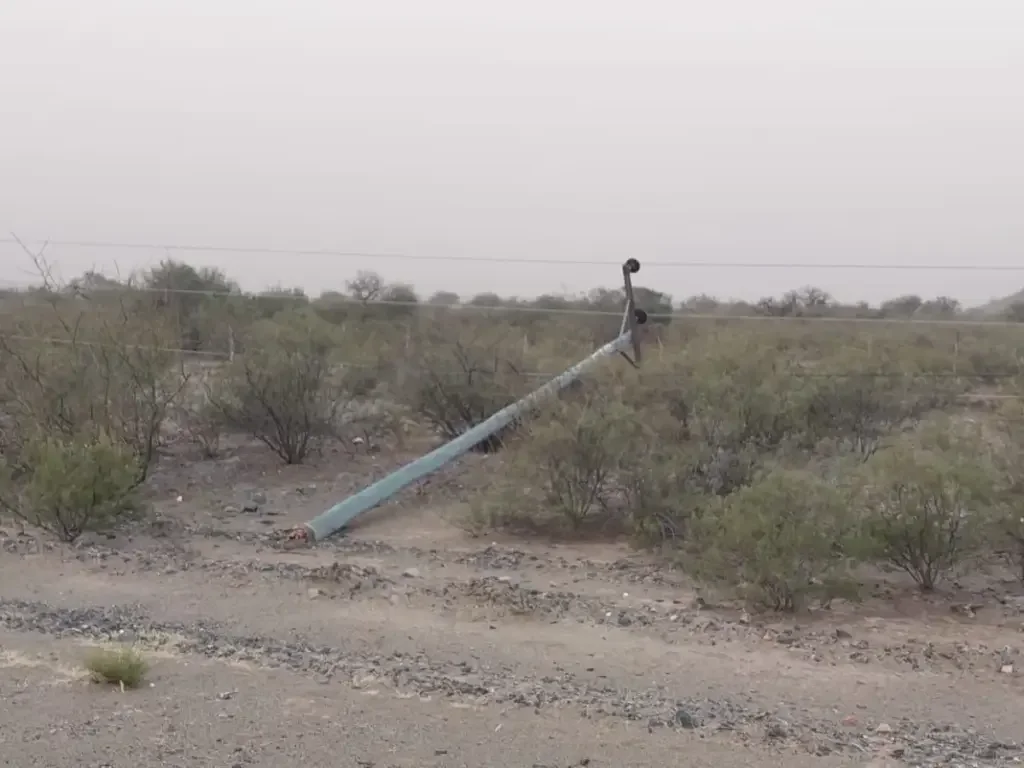 Viento zonda corta la luz en General Felipe Varela
