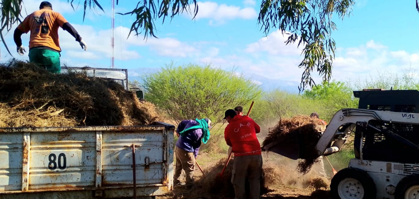 Manzanas Saludables: 138 manzanas y 3806 domicilios contra el dengue