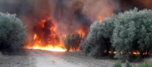 Incendios y tormentas: Capital se prepara para un verano de ri