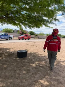 Bomberos rescatan serpientes en La Rioja: fauna y ciudad